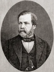 Louis Pasteur, z The Century Illustrated Monthly Magazine, vydaný 1884 (dřevoryt)